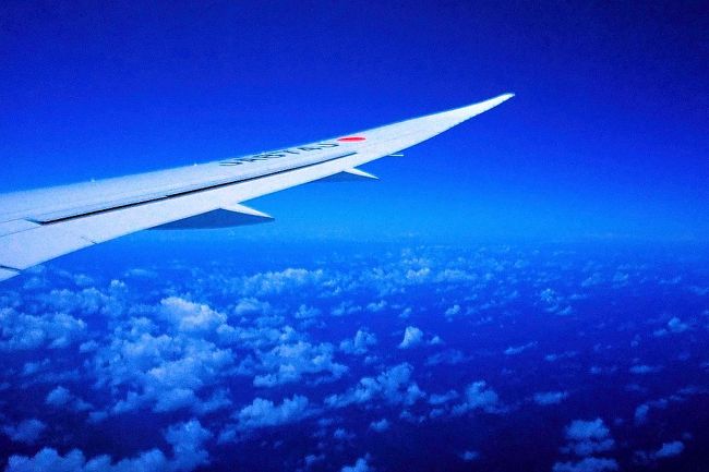 関西空港からJAL792便で、一路ホノルルへ。<br />心なしか、いつもJALの機内食よりも美味しく感じました。 