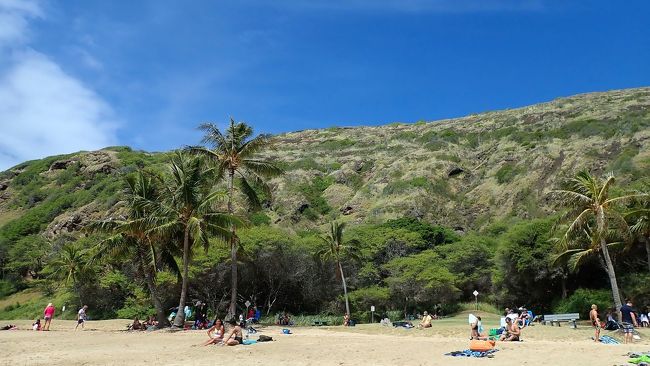 ハナウマ湾ビーチから、背後の丘を切り撮りました。