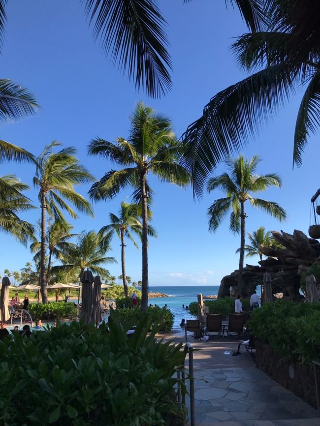 一方、アウラニもとても良い天気<br /><br />清々しい朝です🌴?