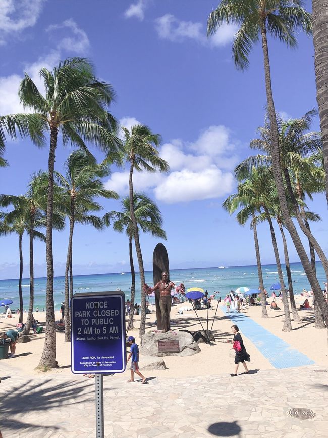 アラモアナの後は、ワイキキに帰ってきてお買い物。<br /><br />この日も天気が良く、素晴らしい風景🌴🌴🌴