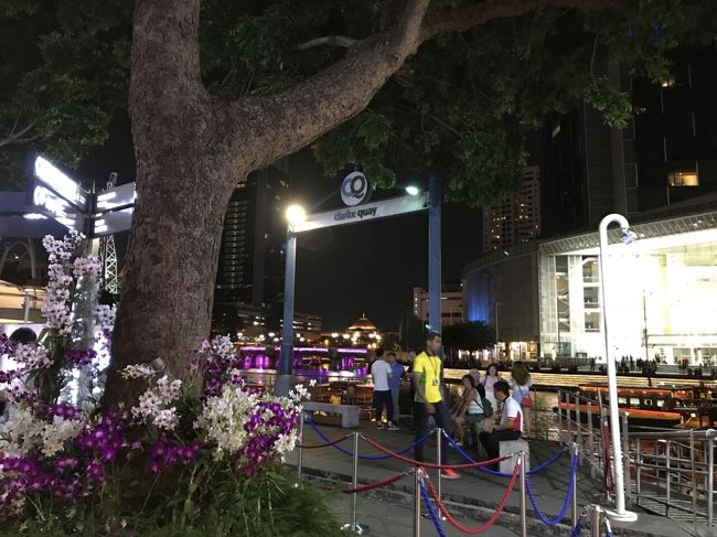 が…まだ シンガポールの交通に慣れず、Vivo cityからタクシーで船着場へ。<br /><br />タクシーは安いと聞いていたのですが、７人乗りは別？？<br />結構払いましたよ。でも、運転手のおばちゃんはいい人だった！<br /><br />ちょっと迷いました…<br />降ろされた所が別の船の発着場で…もう最後の船今出たって言われ<br />｡ﾟ(ﾟ´Д｀ﾟ)ﾟ｡<br />やっちまった、と スマホの予約の画面を見せると、<br />これ、もっとあっちあっち！<br />ここをまっすぐ歩いて行けばわかる！<br />と、言われ ホッとひと息<br /><br />船着場には、22時過ぎ到着です。