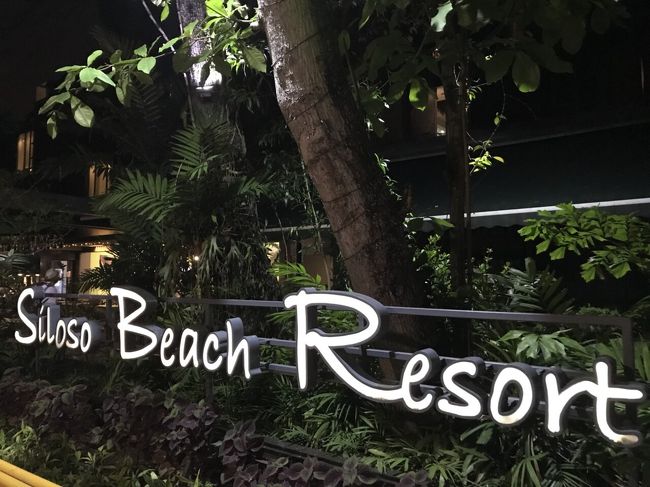 シロソビーチホテル到着です。<br />フロントは、7階です。<br />1階に降ろされると、分かりにくいと思います(･_･;<br /><br />チェックイン！<br />5階のプールが目の前の部屋にアップグレード(о´∀`о)<br />これが、本当に良かった！<br />部屋は3部屋取りました。