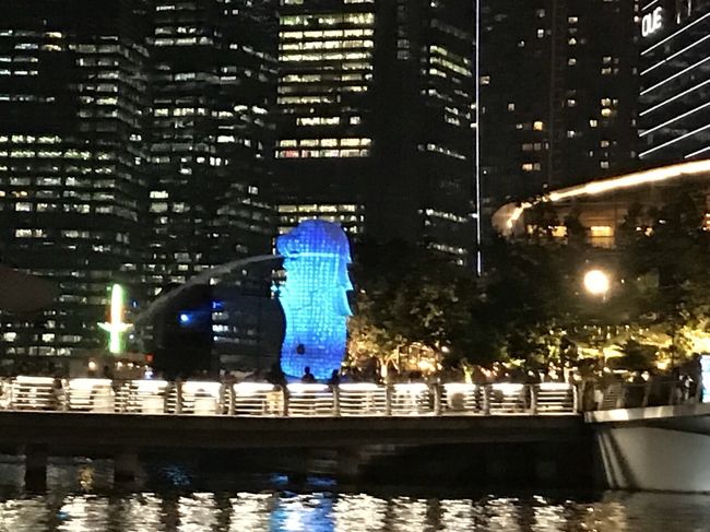 ちょうど、マーライオンのプロジェクションマッピングをやっていて みんなで感動(≧∀≦)