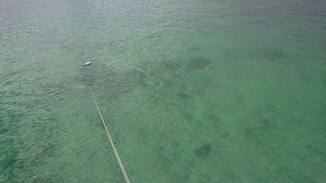 シュノーケリングをやった時、カラフルで色々な魚がいっぱいいました(^.^)