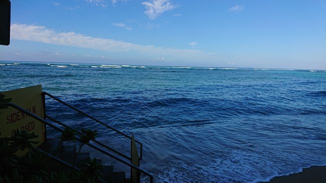 朝食時に撮影したワイキキビーチです(^.^)