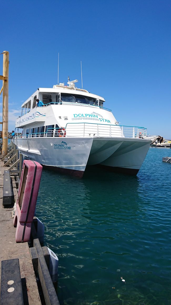 この船に乗り、ドルフィンウォッチング&amp;シュノーケリングに行きました＼(^_^)／酔い止めを飲んで乗りましたが波が強く、数回気分悪くなりました((T_T))