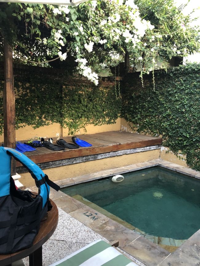 プールサイドは機材干し場に。