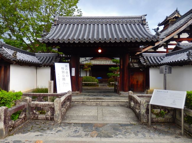 【メーカー包装済】 Zen temple in summer ～欧米の方 御用達の禅寺 春光院へ その他