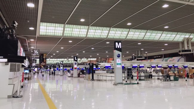 空港は、いつ来てもワクワクですね