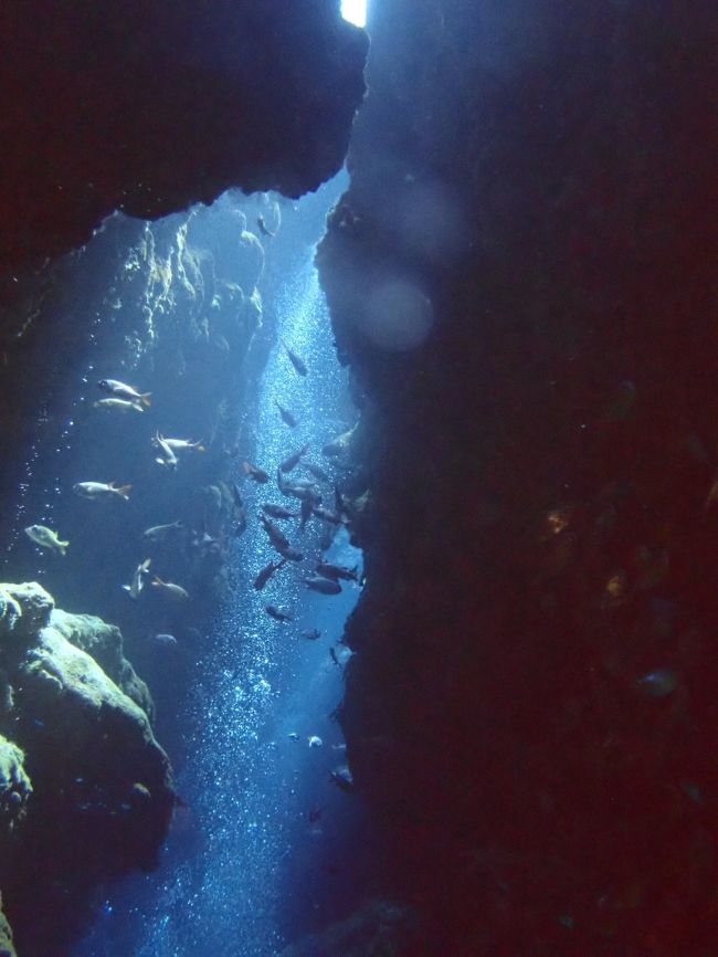 二本目は、洞窟<br /><br />入口は混んでいて　　順番待ち