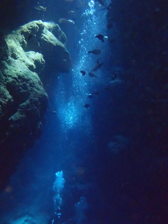 何か、極楽みたいなとこだね<br /><br /><br /><br />