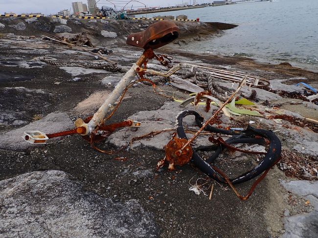 波に酔って、寒くなったので、3本目はパス。。。<br /><br />最近波に酔うんだよな。船酔いじゃなくて。今度は酔い止めを持ってこよ。<br /><br />ダイブを終えて石垣に戻り<br /><br />それにしても、ゆいまーれ　すごくいいダイブショップだった。今までで、ダントツで一番かな。<br /><br />自転車の無残な姿。。でもなんか、いい感じに風化していて、このまま、部屋に飾りたい<br /><br /><br /><br />