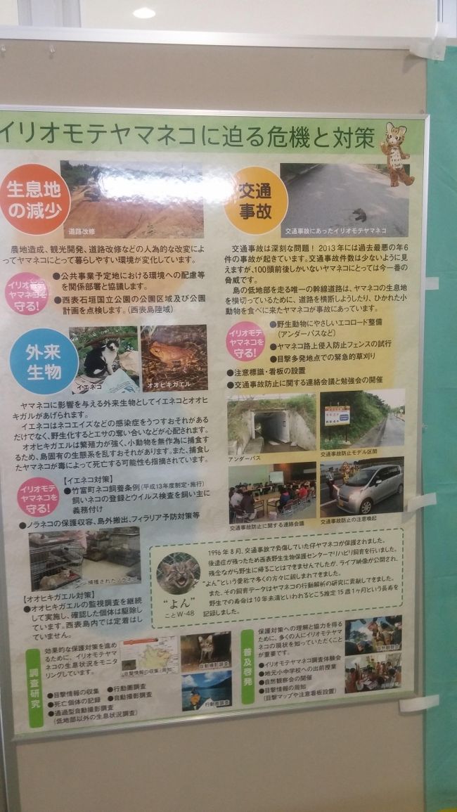 西表島といえば。。。。<br /><br />迫る危機。。。<br /><br />ネコ、オーストラリアでは外来種だって殺処分だと　ネコがお話しできたら、ネコ種差別だニャー、自分たちは人間が連れてきたんだニャー、って言うだろう。イリオモテヤマネコだって、祖先はもともとは、中東とか、どっか違うところから来たんだろうし。いつ来たかによって、人間が主観に外来種としただけじゃん？<br /><br />人間も、純粋なホモサピエンスなら、アフリカのリフトバレーから来た外来生物だしね。しかも生態系や環境を破壊しまくる一番ヤバイ外来種だな。<br /><br />生態系にもっと上位の動物がいたら、池の水抜く、じゃなくて、空気抜いてみよ～、ってことになって。。。<br /><br />空気が薄くなって苦しむ人間たちをみて、お前ら外来種だから、害獣だから、まあしょうがないか、って言われそう。。。。<br /><br />と船待ってる間にあれこれ考えて。。。<br />