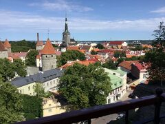 コフトウッツァ展望台
Kohtuotsa Viewing Platform
からの眺め。
トームペア Toompea で最も人気で大勢の人です。