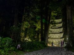 暗闇の杉木立の中に現れる
国宝の五重塔