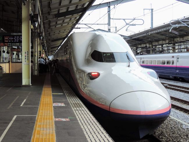 引退間近 世界最大の新幹線 E4系グリーン車 乗車記 高崎 群馬県 の旅行記 ブログ By Tokyo 634さん フォートラベル 引退間近 世界最大の新幹線 E4系グリーン車 乗車記 高崎 群馬県 の旅行記 ブログ By Tokyo 634さん フォートラベル