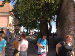 トームペアの2つある展望台の内人気の高い
コフトウッツァ展望台
Kohtuotsa Viewing Platform 
に来ました。