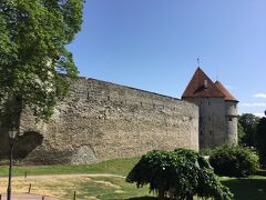 デンマーク国王の庭園
Danish King's Garden
があります。
古い城や女王のバラ園があります。
13Cにデンマーク王が侵攻しトームペア城を築いた。
タリンはデンマーク人の城と言う意味だそうです。