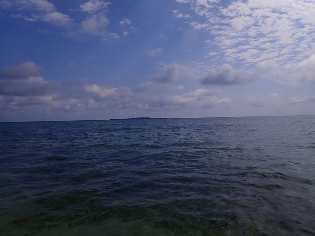 ちょっとシュノーケルに