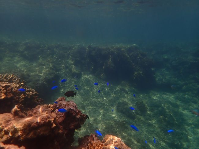 透明度もいいし