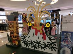 DFSへ行ってみる。

1か月前くらいに3人で集まる機会があった時、お財布が買いたいと思っていたYさんは「ハワイの下見」とどんなのがいいかを探しに行っていた。
そのお財布があるか、DFSに行ってみたところ、日本より1万円以上も安い価格でGet！
よかったね。Yさん。