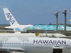 ハワイ1日目　8月17日土曜日
　成田空港から飛び立ったＡＮＡ全日空エアバスＡ３８０は予定通り、そして無事にダニエル・Ｋ・イノウエホノルル国際空港に到着しました。時刻は午前10時過ぎ、日本と飛び立ったのが8月17日午後9時730分、数時間のフライトタイムを経ての到着は不思議な感じ。前に戻った。得した感じです。

　この飛行機はテレビＣＭでもお馴染みのウミガメの模様の飛行機で何と５２０席もある大きなものです。乗り心地は快適でした。エコノミーではあるが、機内サービスは普通ですが、ホノルル到着前の軽食は、何故か夕食が終わってすぐに配られて、到着までに各自好きな時にお召し上がり下さいとのこと。これはちょっとＡＮＡの手抜きか、乗客の邪魔をしないためか、分からない。