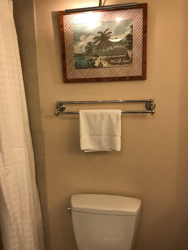 バストイレが一緒で、シャワーブースがないのが使いにくいです