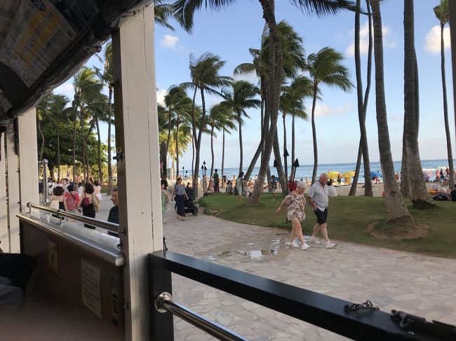 トロリーからハワイの景色を目に焼き付けました