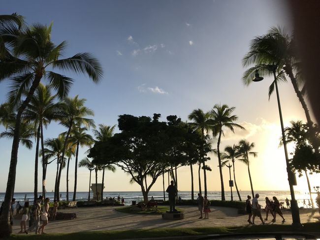 夕日も綺麗に見れました