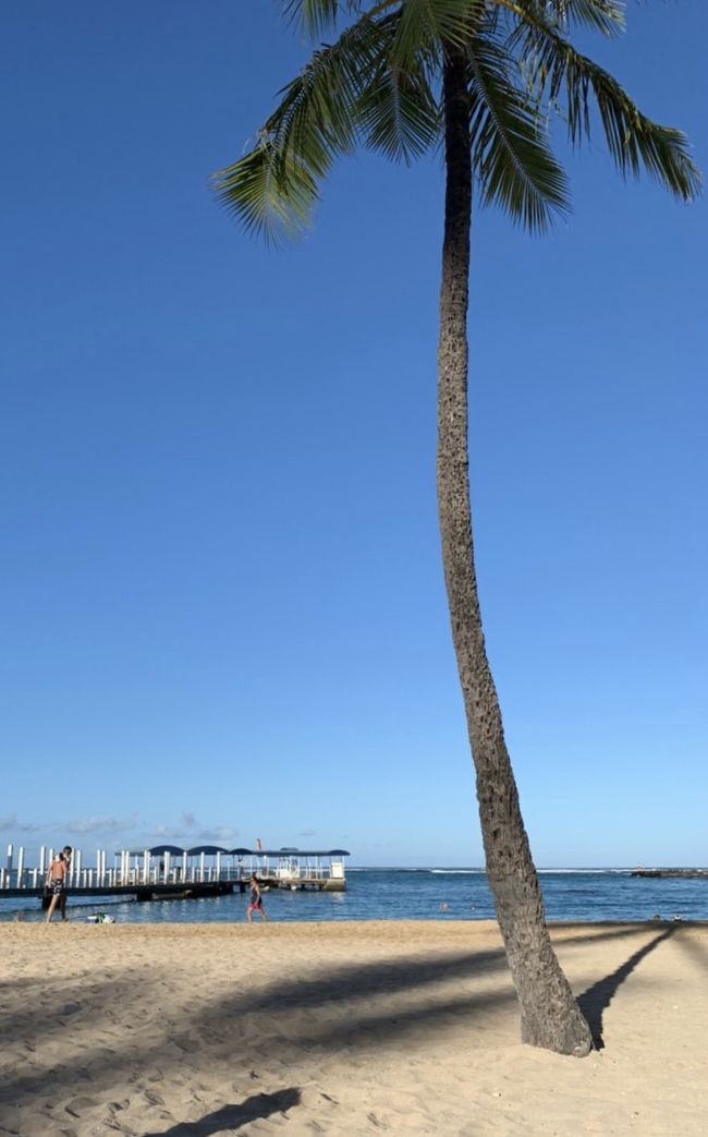 見送った後はビーチに散策に行きました