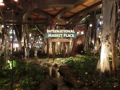 　１８：００過ぎに、ワイキキビーチから上がり、ホテルに戻る。砂だらけをホテルプールのシャワーで流して部屋に戻る。温水シャワーを浴びて、外出の支度をしてホテルを出る。

これから、夕食を食べに行くのだが、今日の場所は、計画に依れば「インターナショナル・マーケット・プレイス」のどこかのレストランで豪華な夕食をと考えていた。