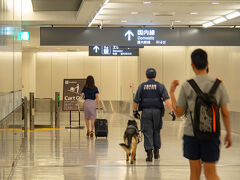 迎えたお盆休み初日の8/10土曜日 夕方。

ここは成田空港第一ターミナル。
国内線をこのターミナルから行くなんて初めて。

予約した航空券ではWEBチェックインはおろか
発券機でもチェックインできず、
ANAカウンターのながーい列に並びました。