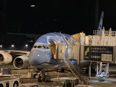 飛行機での移動