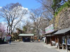 ●小諸城址懐古園

門を抜けると、正面に入場ゲートがあり、（写真だと切れてしまってますが）向かって左側に歴史資料館「徴古館」があります。

ここ「小諸城」は、戦国時代に甲斐国の大名・武田信玄による東信州統治の拠点として、山本勘助の縄張りにより拡張整備されたと伝わる城で、1590年には（漫画で有名になった）仙石久秀が城主になっています。
明治維新後、旧小諸藩士達が資金を集め払い受け公園とし、「懐古園」と名付けられ現在に至り、「日本100名城」にも選定されています。

◇小諸城址懐古園◇
　開園時間：９時～17時
　休館日　：3月下旬～11月末は無休
　　　　　　12月～3月中旬は毎週水曜日、年末年始
　入園料金：共通券大人500円　
　参考ＨＰ：https://www.city.komoro.lg.jp/kaikoen/index.html