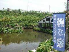 屋久島から戻ってきた後は、指宿市の親戚の家（無人）で少しのんびりしました。その時に、指宿名物の「唐船峡そうめん流し」に行きました。
有名な、「市営」と「長寿庵」のそうめん流しには両方行ったことがありますが、連休中は激混み必至なので、あえてこの２か所の駐車場がある場所をスルーして少し奥にある「鱒乃家」にやってきました。