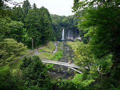 ●白糸の滝

遊歩道をしばらく進むと、木々の間から【白糸の滝】が見えてきました！
江戸時代、富士講信者を中心に人々の巡礼・修行の場であったことから、世界遺産の構成資産になっています。