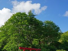 宿に戻って早速｢玉川温泉自然研究路｣を散策に！
まずは玉川薬師神社でお参り。