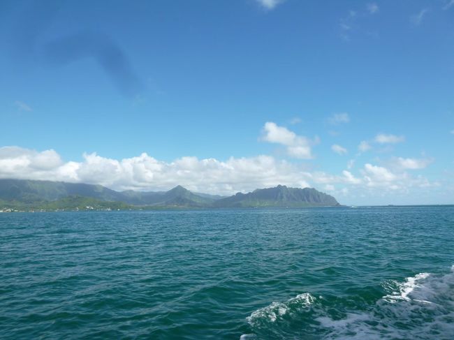 いい天気。<br />以前クアロア牧場のウミガメツアーは曇っていて、亀２匹１瞬ずつでした。