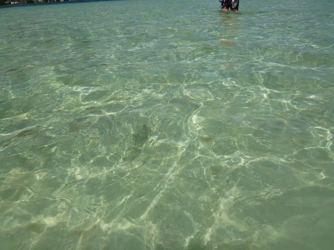 たこ？いか？魚？<br />この後船で場所を移動して、シュノーケリング。<br />久しぶりのシュノーケリングはちょっと緊張。<br />海底にウミガメがいました。<br /><br />2人は初シュノーケリング。<br />1人は私と同じ干支（干支でいうとこがおばさん）、私が１番年下です。<br />2人とも日本人の女性インストラクターとチャレンジ。<br />さすがジム友！<br />彼女達の勇気に答えて、ウミガメが彼女達の真下を泳いで行ったとか。<br /><br />この日はカラカウアアベニューはホコ天。<br />日本のお祭り？<br />そこかしこ見ながら、ハレクラニホテルでフラを見て1杯と思っていましたが、満席で挫折。<br />泊まっているホテルのモリモトアジアへ。<br />シマッタ、テラス席にすればよかった。<br />暗くて今日もメニューが読みにくい私たちです。<br /><br />夜はもらったチケットでプールバーへ。<br />ここも一雨降った後らしく、また濡れてしまいましたよ。