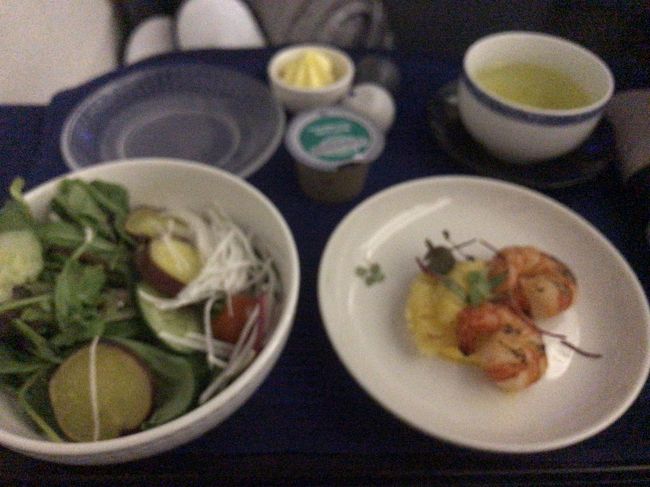 洋食です。<br />エビはおいしかったけれど、サラダはすごくふつうでした。<br />そしてドレッシングがベリー系のドレッシングでけっこう変わった味でした！<br /><br />ビジネスクラスはフルフラットにできるのが最高でした！<br />そして、ヘッドフォンがついているので、映画もとっても聞きやすい。<br />ゆっくり寝ながらハワイに迎えるのは最高の経験でした。<br /><br />またいつかビジネスクラスに乗ってみたいです。