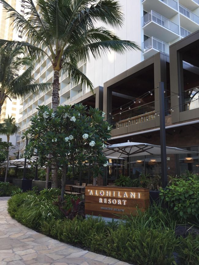 きのうのモリモトアジアはこの２階。