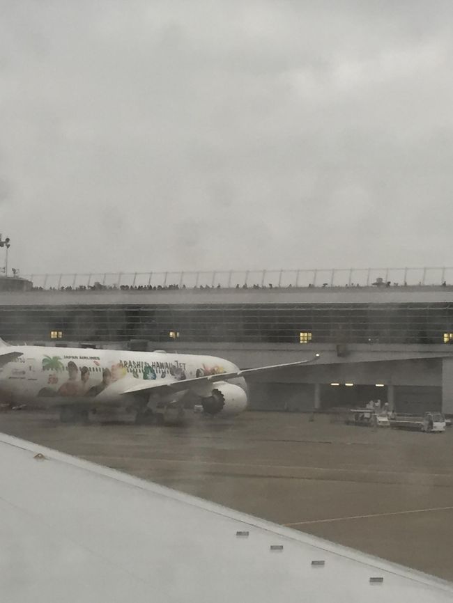 ホノルルの空港でも、セントレアでも嵐ジェット撮っちゃいました。<br />ファンじゃありませんが、つられました。<br /><br />おばさん旅、楽し。。。