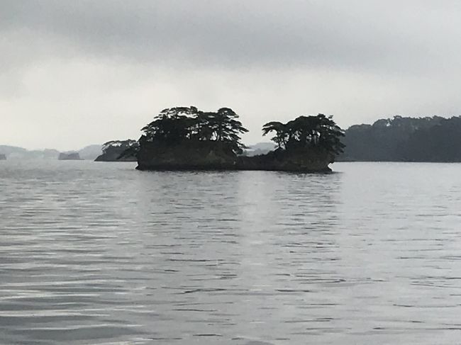 日本三景松島巡り：観光船に乗り、美しいが一度見れば十分かな』松島・奥松島(宮城県)の旅行記・ブログ by TTukomiさん【フォートラベル】