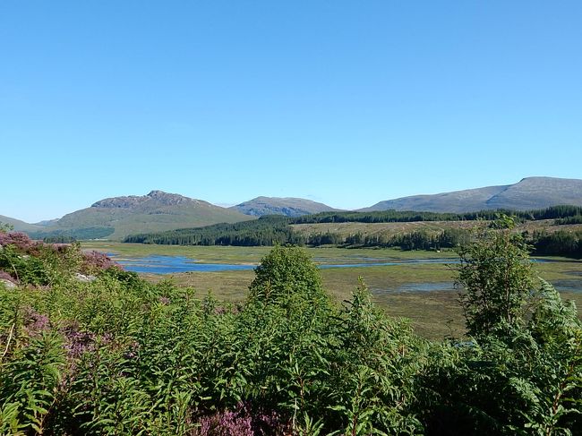 どこか分からないですが、少しの間立ち寄りました。