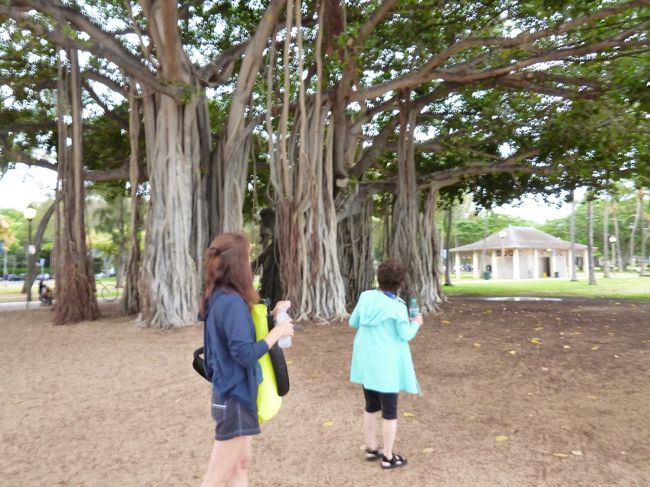 ２日目は朝７時から、動物園前のビーチでヨガ。<br />だってジム仲間だもん。<br />チョコレートパイナップルスポーツヨガ。<br />他のビーチヨガのインストラクターはとっくに来てるのに、７時すぎてもまだこない。<br />自転車で来て、遅れたことについては何もコメントがありません。<br />まあ、いいけど。<br />日本語ヨガということでしたが、インストラクターは日本で英語講師をしていたらしく、日本人は何年も勉強しても英語を話せないと感じの悪いことを言ってから、スタート。<br />ヨガ自体は、ロープを使って丸くなってやるといったものでやったことのないヨガだったから、面白かったんですが。<br />やっているうちに砂まみれになるのですが、最初は抵抗がありましたが、そのうち膝をついても、お尻をついても痛くないから気に入りました。<br />夜に降った雨で砂が濡れていたので、帰りは湿って帰りました。。。