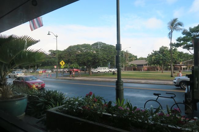 お店からの景色はこんな感じ。<br />近くにホノルル動物園が見えます。