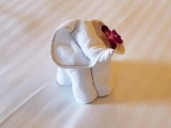 ドンムアン空港からホテルまでは約40分かかりました。リムジンタクシーは空港でも予約できますが、我々は日本でwebから予約しておきました。

今回のホテルは、アナンタラ・バンコク・リバーサイドです。

仕事の関係上ではバンコク市内ならどこでもOKでしたので、夏休みをとる後半を考えて「プールが素敵」＆「近くにショッピングモール」ということで、こちらに滞在しました。

仕事のスケジュールはずいぶん前に確定したので、早く予約して安く泊まることができました。

リバービューのお部屋はとってもすてき！

ここでも、タオルのゾウさんがお迎えしてくれました。

お花を付けてるから、女の子だね。