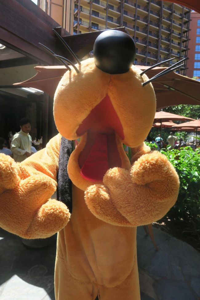 しばらく待っていると、プルートがグリーティングへ来てくれました。<br />いっぱい愛を飛ばしてくれるプルート！