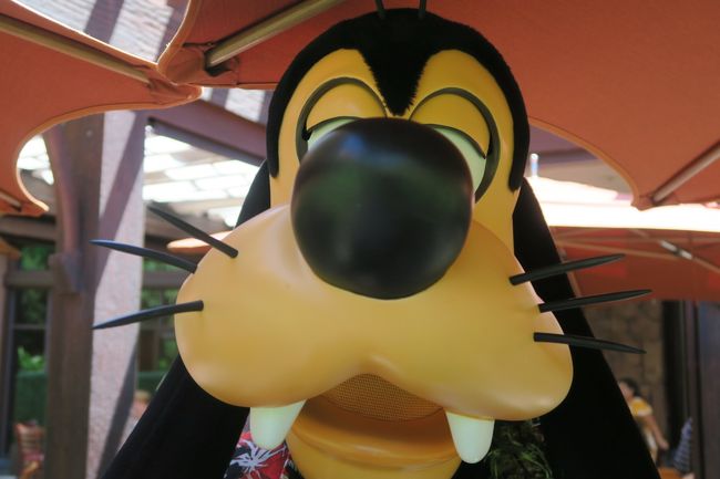 最後はグーフィーです。<br />結構グリーティングはあっさりめで、<br />アナハイムやフロリダに比べると、１回だけ、さくっと来る感じです。<br /><br />お客さんもとっても多い！