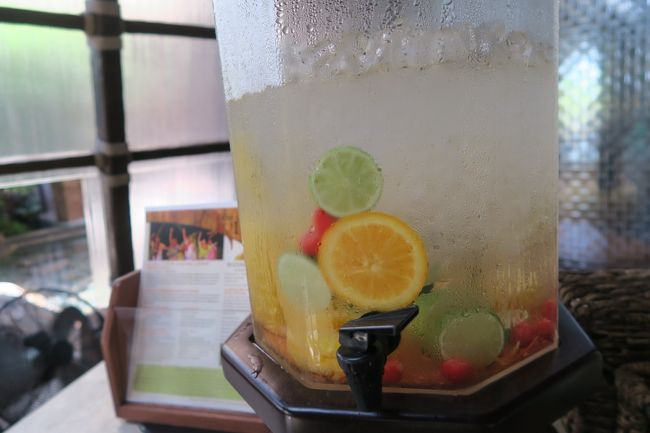 こっちはミニー！